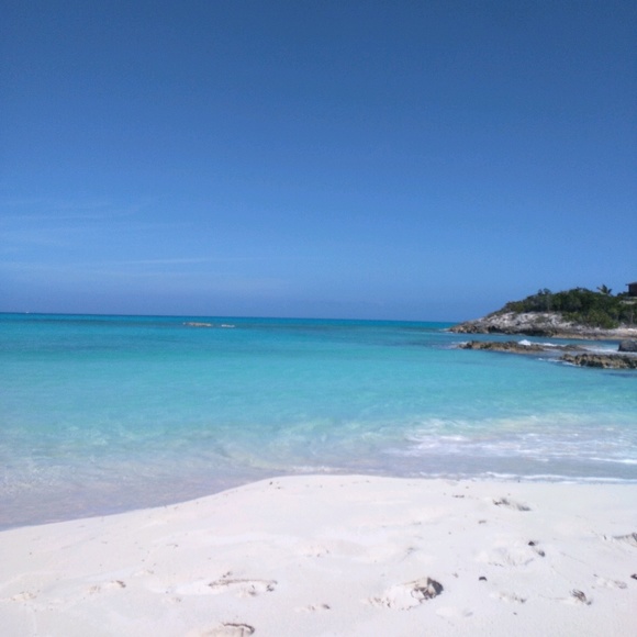 Meet your Posher, Cassandra - Picture 1 of 1